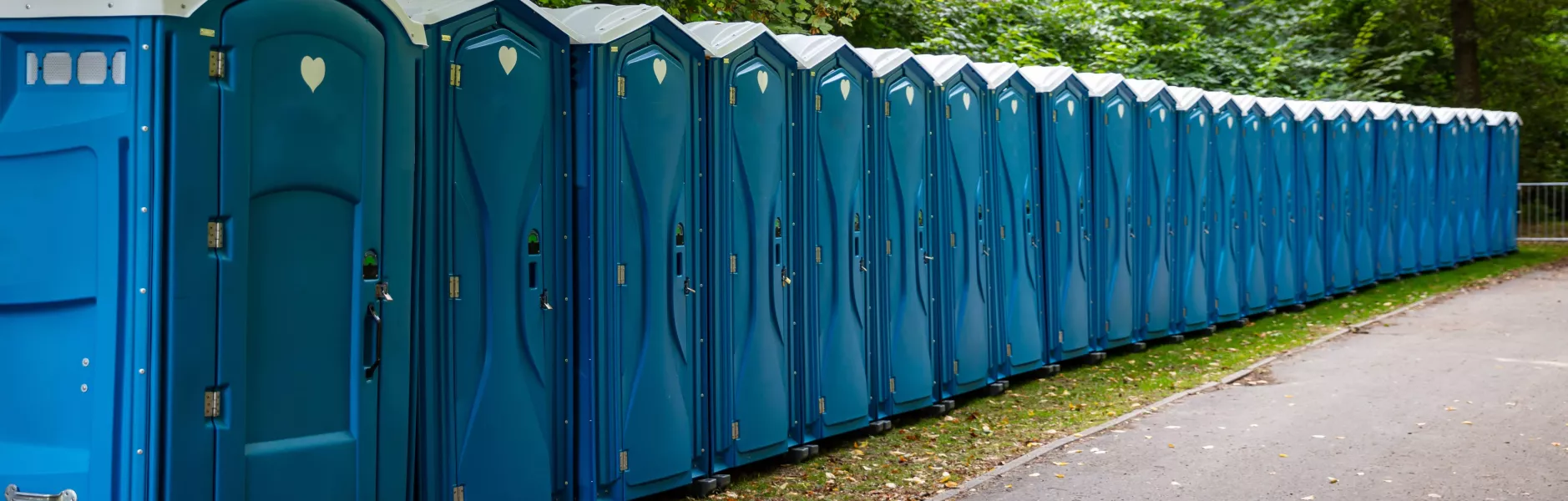 Lunga fila di bagni chimici blu lungo un viale alberato